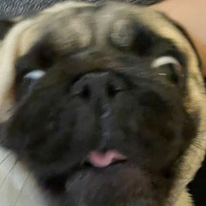 Meet your Posher, Chickennuggets